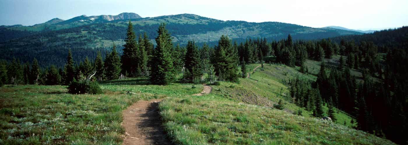 manning park trails